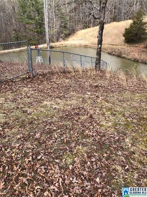 39 Co Rd 429, Fruithurst, AL 36262 photo 40