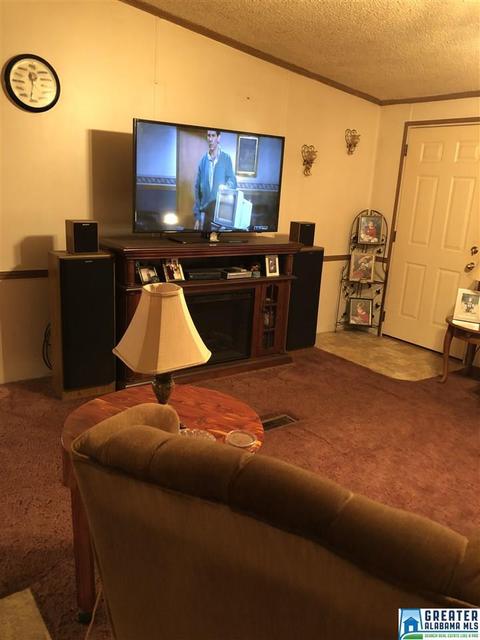 39 Co Rd 429, Fruithurst, AL 36262 photo 8