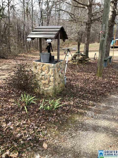 39 Co Rd 429, Fruithurst, AL 36262 photo 35