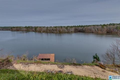 168 Cherokee Cv, Clanton, AL 35046 photo 46