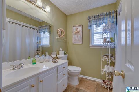 168 Cherokee Cv, Clanton, AL 35046 photo 34