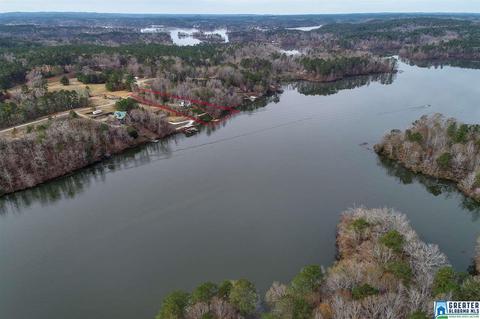 168 Cherokee Cv, Clanton, AL 35046 photo 48