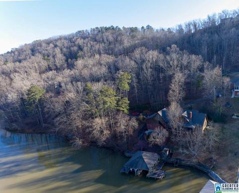 124 Boulder Point Ln, Ohatchee, AL 36271 photo 43