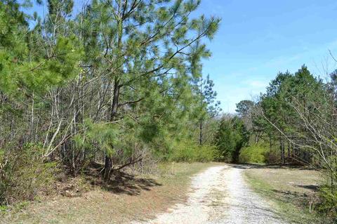 10066 Mize Rd, Remlap, AL 35133 photo 38