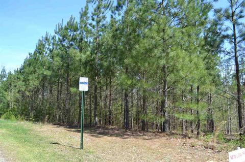 10066 Mize Rd, Remlap, AL 35133 photo 37