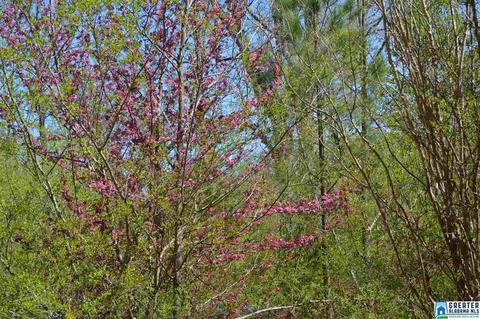 10066 Mize Rd, Remlap, AL 35133 photo 40