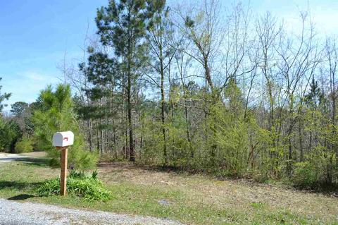 10066 Mize Rd, Remlap, AL 35133 photo 33