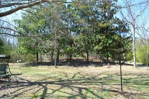 10066 Mize Rd, Remlap, AL 35133 photo 39