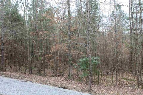 426 Sand Valley Rd, Remlap, AL 35133 photo 4