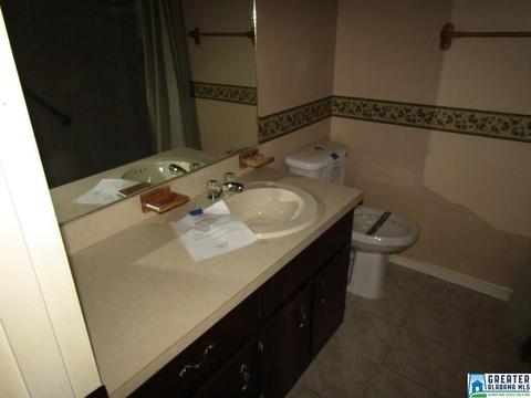 805 1st Ave E, Oneonta, AL 35121 photo 36