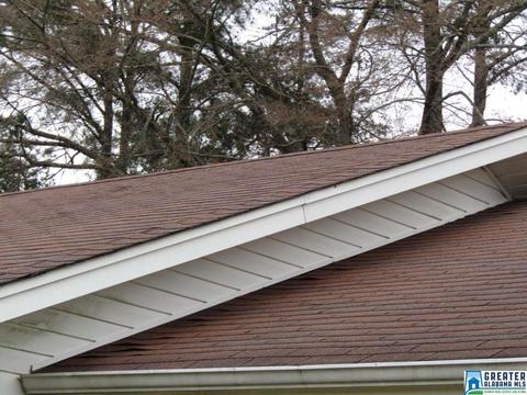 805 1st Ave E, Oneonta, AL 35121 photo 8