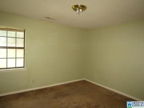 805 1st Ave E, Oneonta, AL 35121 photo 46
