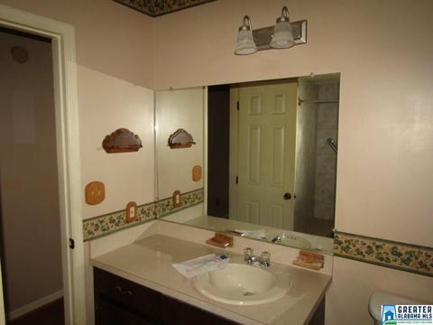 805 1st Ave E, Oneonta, AL 35121 photo 41