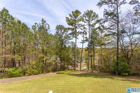 1065 Lock 4 Rd, Riverside, AL 35135 photo 8