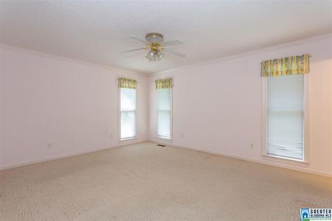 1065 Lock 4 Rd, Riverside, AL 35135 photo 27