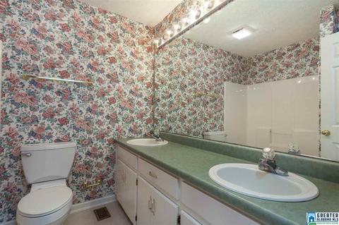 1065 Lock 4 Rd, Riverside, AL 35135 photo 26