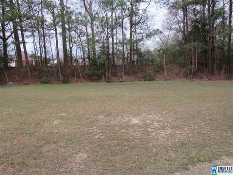 414 Debra Ave, Clanton, AL 35045 photo 6