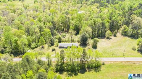 2864 Corner Rd, Warrior, AL 35180 photo 9