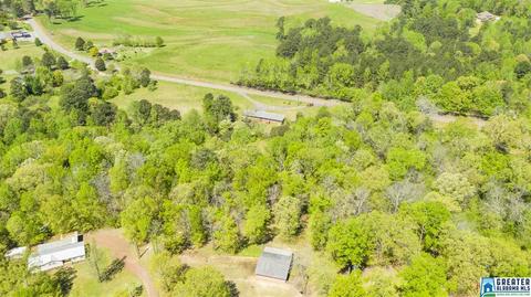 2864 Corner Rd, Warrior, AL 35180 photo 16