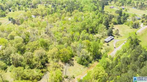 2864 Corner Rd, Warrior, AL 35180 photo 20
