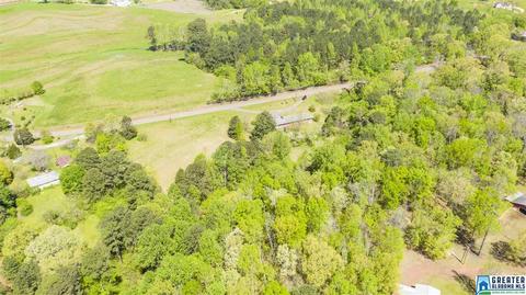 2864 Corner Rd, Warrior, AL 35180 photo 14