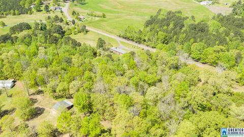 2864 Corner Rd, Warrior, AL 35180 photo 17