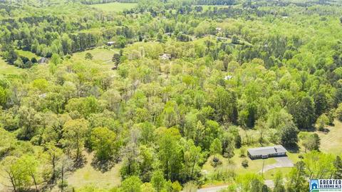 2864 Corner Rd, Warrior, AL 35180 photo 22