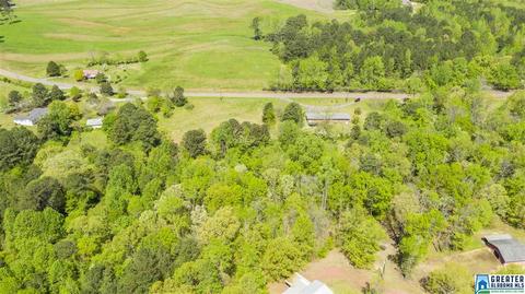 2864 Corner Rd, Warrior, AL 35180 photo 15