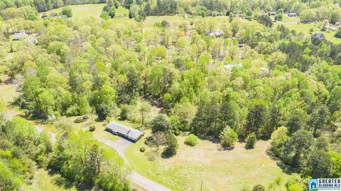 2864 Corner Rd, Warrior, AL 35180 photo 11
