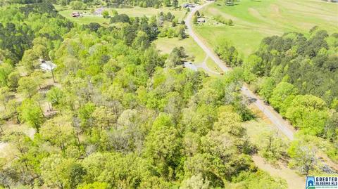 2864 Corner Rd, Warrior, AL 35180 photo 18