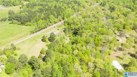 2864 Corner Rd, Warrior, AL 35180 photo 13