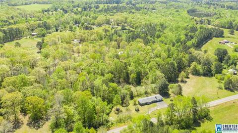 2864 Corner Rd, Warrior, AL 35180 photo 21
