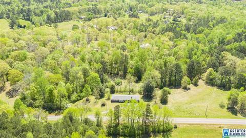 2864 Corner Rd, Warrior, AL 35180 photo 10