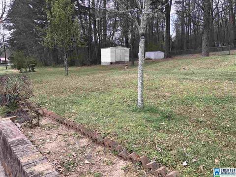 810 4th Ave E, Oneonta, AL 35121 photo 11