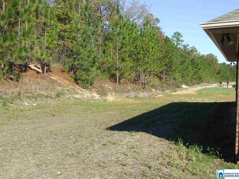 237 Hillcrest Dr, Montevallo, AL 35115 photo 9