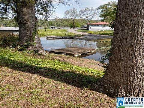231 Riverview Dr, Adger, AL 35006 photo 19