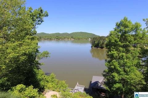 1238 Mohawk Trl, Ohatchee, AL 36271 photo 3