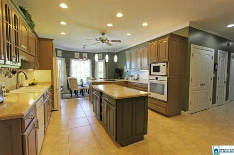 1238 Mohawk Trl, Ohatchee, AL 36271 photo 38