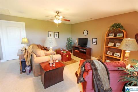 1238 Mohawk Trl, Ohatchee, AL 36271 photo 49
