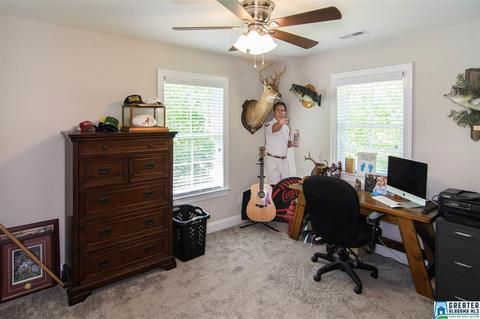 65 Mountain Top Rd, Warrior, AL 35180 photo 33