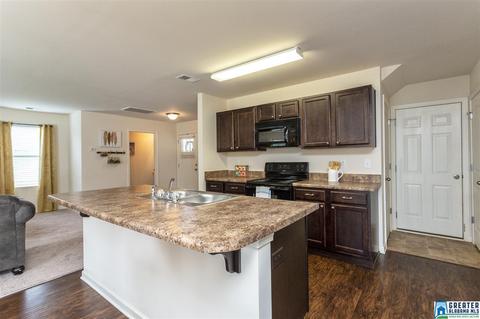 9391 Hoffman Pl, Warrior, AL 35180 photo 8