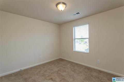 9391 Hoffman Pl, Warrior, AL 35180 photo 24