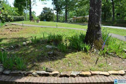 52 Oak Dr, Remlap, AL 35133 photo 41