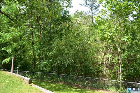 52 Oak Dr, Remlap, AL 35133 photo 43