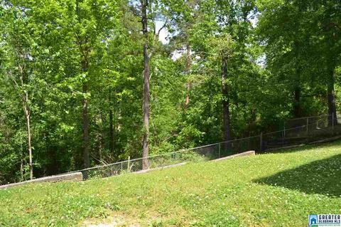 52 Oak Dr, Remlap, AL 35133 photo 44
