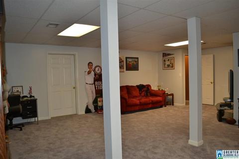 52 Oak Dr, Remlap, AL 35133 photo 31