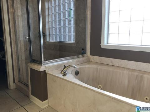 22525 Iron Masters Loop, Mc Calla, AL 35111 photo 8