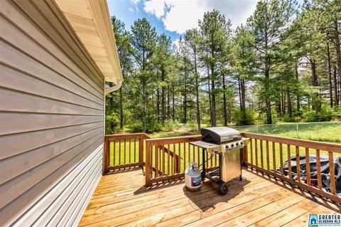 493 Commissary Rd, Warrior, AL 35180 photo 19