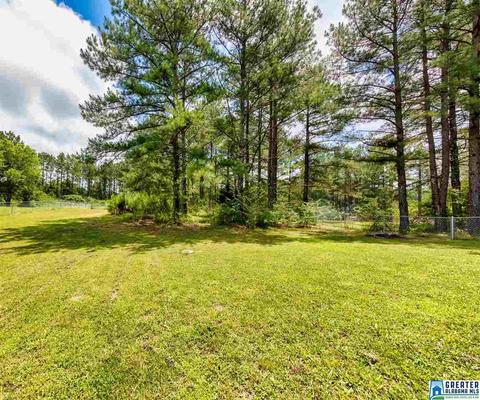 493 Commissary Rd, Warrior, AL 35180 photo 21