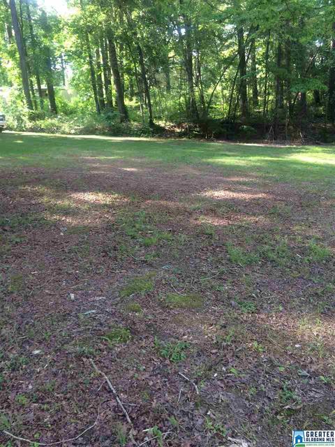 24 County Road 734, Clanton, AL 35046 photo 7